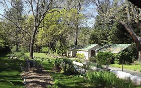 Backyard Garden Oasis