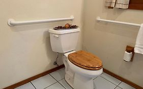 Backyard Garden Oasis